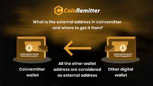 Secure CoinRemitter Crypto Wallet