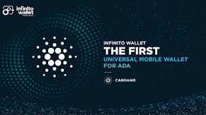 Infinito Crypto Wallet Review - Best Wallet in 2023